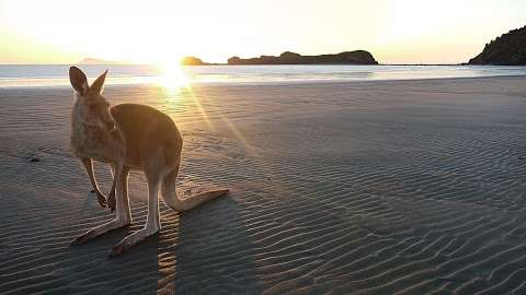 Photo: Trade & Investment Queensland, Mackay